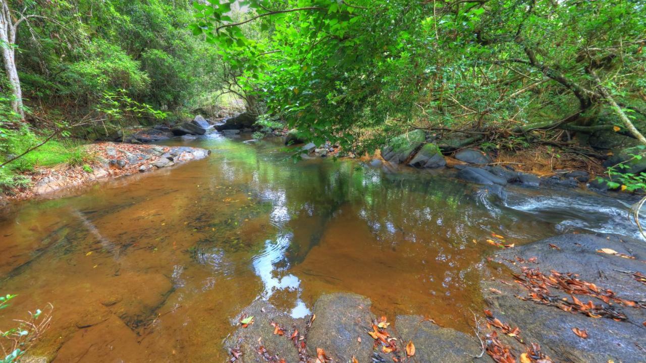 مبيت وإفطار Millaa Millaa Riversong Retreat المظهر الخارجي الصورة