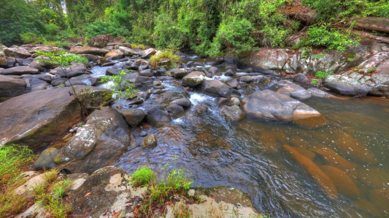 مبيت وإفطار Millaa Millaa Riversong Retreat المظهر الخارجي الصورة
