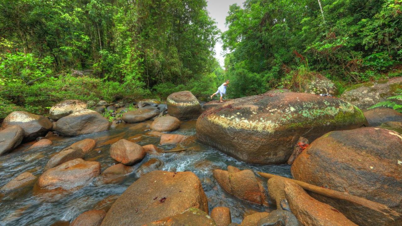 مبيت وإفطار Millaa Millaa Riversong Retreat المظهر الخارجي الصورة